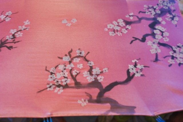 cherry blossom. Cherry blossoms, Part 2: uh-oh